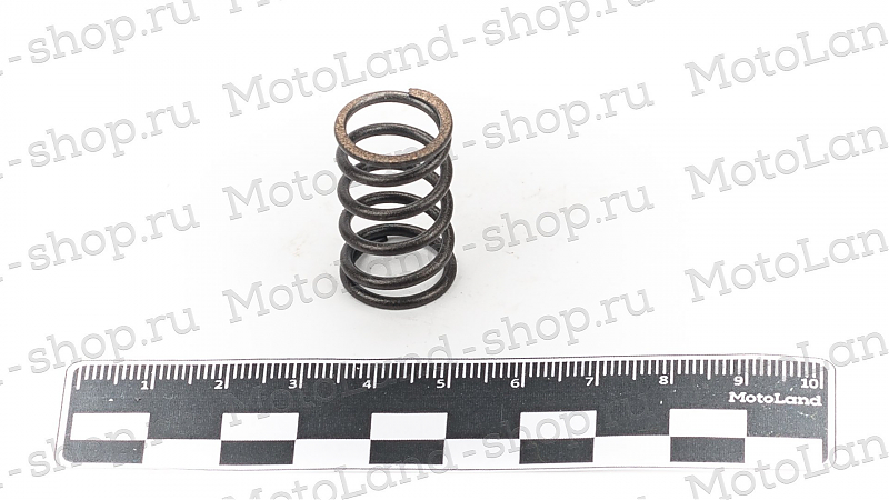 Пружина клапана (малая) 154FMI 125см3 - alexmotorsspb.ru