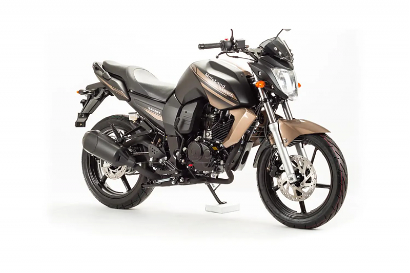 Мотоцикл дорожный Motoland BANDIT 250 коричневый - alexmotorsspb.ru