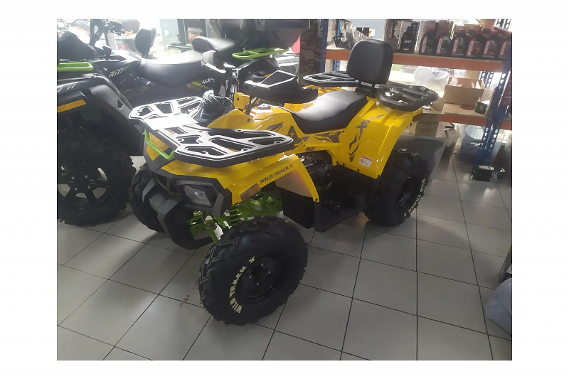 Комплект для сборки квадроцикла 200 WILD TRACK X желтый - alexmotorsspb.ru