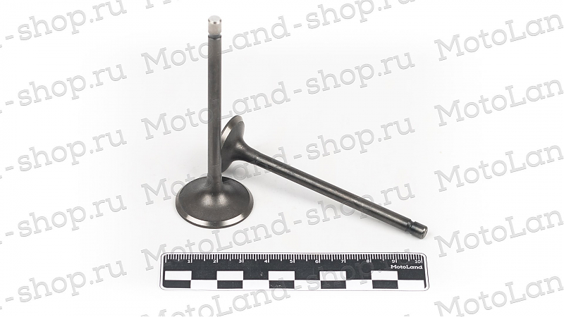 Клапаны ГРМ (компл=2шт) 156FMI (CB125D) - alexmotorsspb.ru