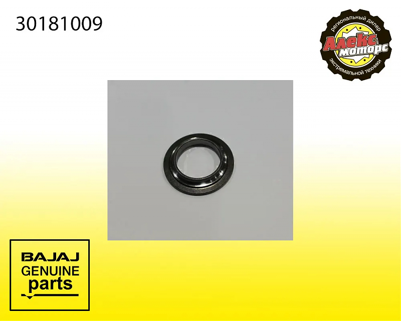 BEARING CONE BAJAJ 30181009 - alexmotorsspb.ru