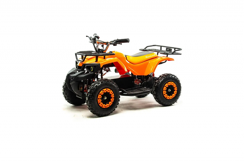 Квадроцикл (игрушка) ATV E009 1000Вт - alexmotorsspb.ru